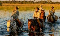 botswana_safari_equestre_cavalngo__1_